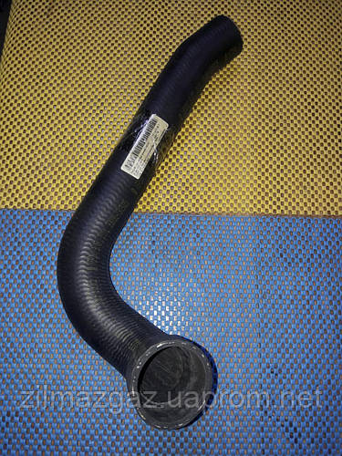 Патрубок радиатора нижний ГАЗон NEXT ЯМЗ-5344, цена 1100 грн — Prom.ua ...