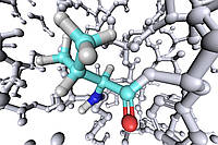 L-Лізин (L-Lysine)