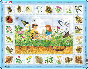 Пазл Larsen рамка-вкладиш На лузі серія Максі (NA1-UA)