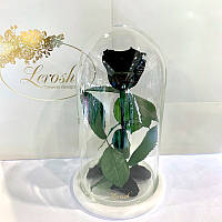 Черная роза в колбе Lerosh - Classic 27 см