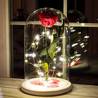 Підсвітка світлодіодна гірлянда нитка крапля роси 1 м для троянди в колбі Lrosh 27 см