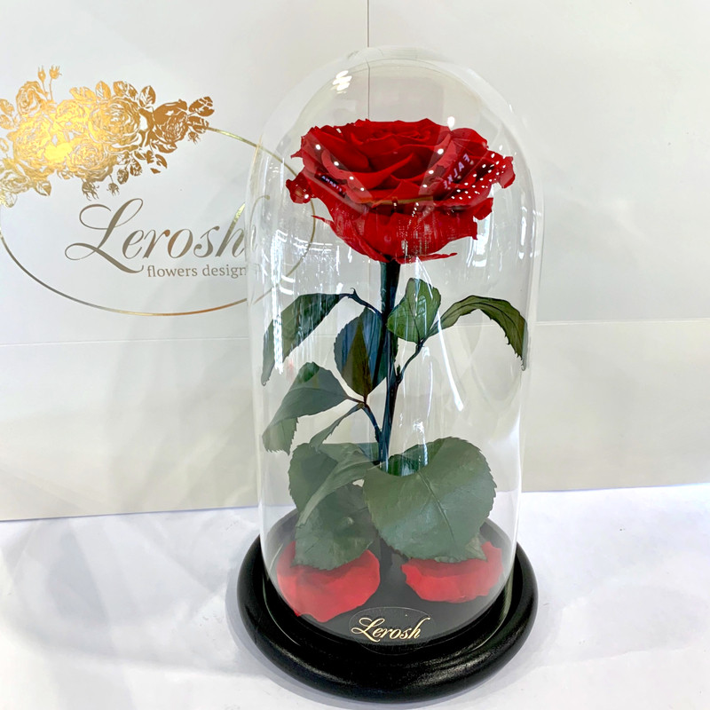 Червона троянда в колбі Lerosh — Premium 27 см