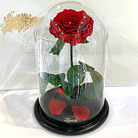 Красная роза в колбе Lerosh - Lux 33 см