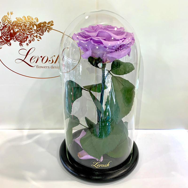 Лілова троянда в колбі Lerosh — Premium 27 см