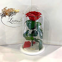 Червона	троянда в колбі Lerosh — Premium 27 см на білій підставці
