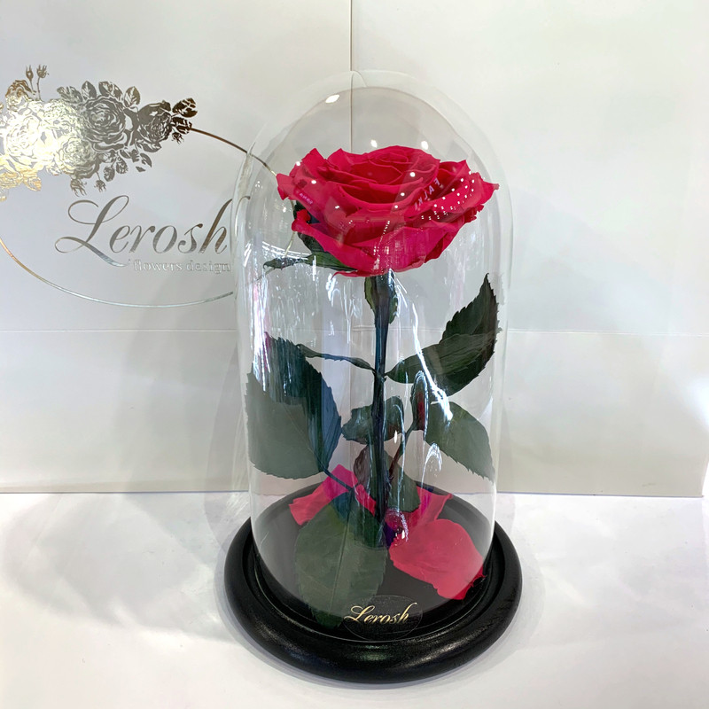 Малинова троянда в колбі Lerosh — Premium 27 см