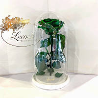 Зелена троянда в колбі Lerosh — Premium 27 см