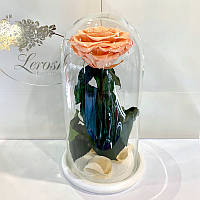 Персиковая роза в колбе Lerosh - Premium 27 см