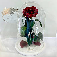 Бордово-малиновая роза в колбе Lerosh - Lux 33 см