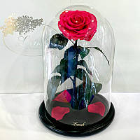 Малинова троянда в колбі Lerosh — Lux 33 см