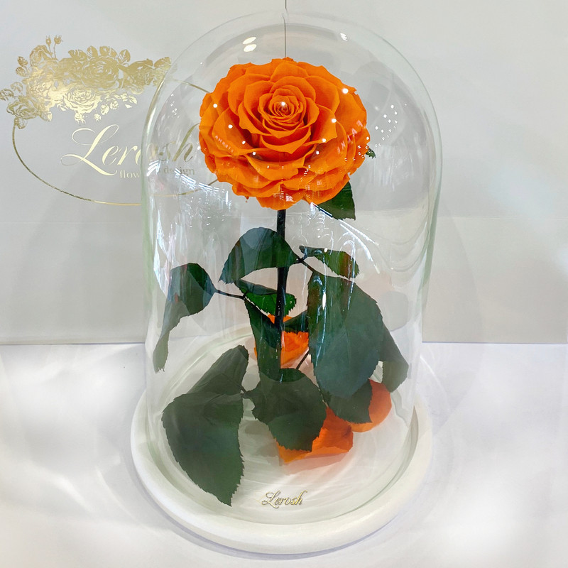 Жовтогаряча троянда в колбі Lerosh — Lux 33 см, фото 1