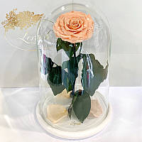 Персиковая роза в колбе Lerosh - Lux 33 см