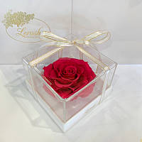Малиновый стабилизированный бутон розы в подарочной коробке Lerosh - Premium