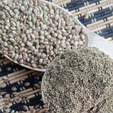 Конопляний протеїн 0.4 кг, фото 2