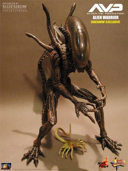 Alien-Hunter-AVP (Hot Toys) 1:6