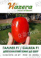 Семена Томата ГАЛИЛЕЯ F1 / GALILEA F1 -Hazera-10шт