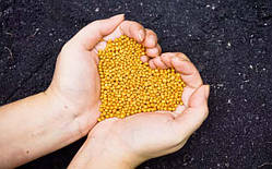 Добрива для рослин професійні