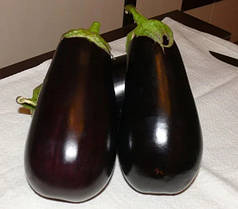 Модар F1 10 насінин — ранній баклажан, Lark Seeds