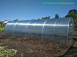 Каркас теплиці 3*10*2 під полікарбонат від виробника, фото 4