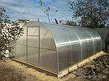 Теплиця "ЕЛІТ" 3*10*2 (ш.д.в.), 30кв.м., покриті полікарбонатом, від виробника, фото 4