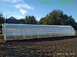 Каркас теплиці 3*6*2 під полікарбонат від виробника, фото 3