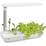 Гідропонне вирощування рослин/пророщувач Vegebox BioChef Table Box, фото 2