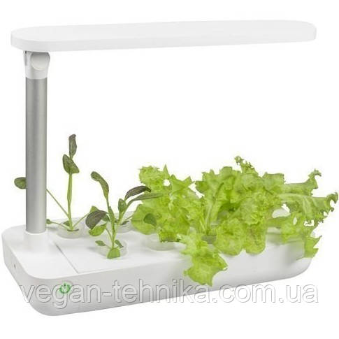 Гідропонне вирощування рослин/пророщувач Vegebox BioChef Table Box - фото 2 - id-p214181727