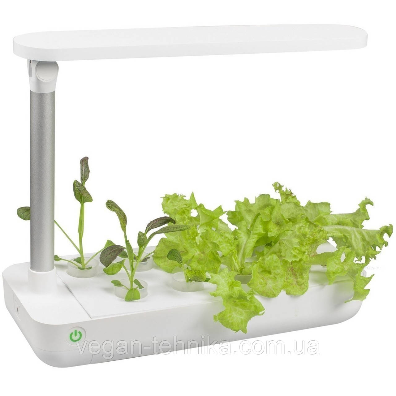 Гідропонне вирощування рослин/пророщувач Vegebox BioChef Table Box - фото 4 - id-p214181727
