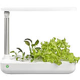 Гідропонне вирощування рослин/пророщувач Vegebox BioChef Table Box, фото 3