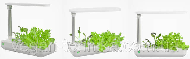 Гидропонное выращивание растений / проращиватель Vegebox BioChef Table Box