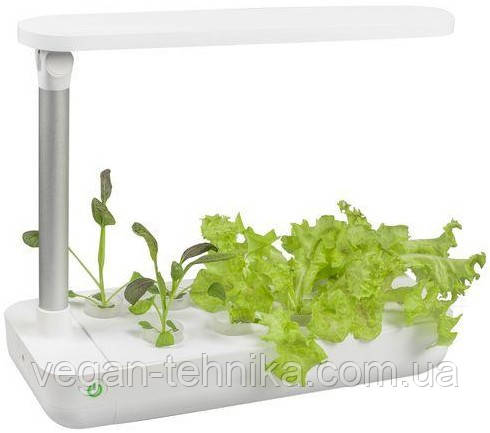 Гидропонное выращивание растений / проращиватель Vegebox BioChef Table Box