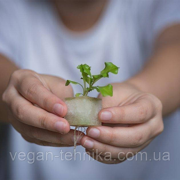 Гидропонное выращивание растений / проращиватель Vegebox BioChef Table Box Гидропонное выращивание растений / проращиватель Vegebox BioChef Table Box