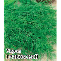 Семена укроп Грибовский кустовой 5кг выращивания в открытом и защищенном грунте на зелень и специи