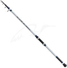 Спінінг Shimano Alivio AX Tele Boat 300 H 3.00 m 150g