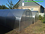 Теплиця "СТАНДАРТ" 3*8*2 (ш.д.в.) 24 кв. м., покрита полікарбонатом 6 мм, від виробника, фото 2