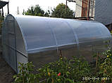 Теплиця "СТАНДАРТ" 3*8*2 (ш.д.в.) 24 кв. м., покрита полікарбонатом 6 мм, від виробника, фото 6