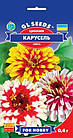 Цинія (майори) Карусель GL Seeds 0,25 г, фото 2