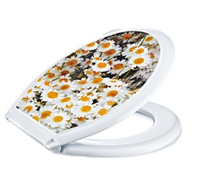 Сидіння з кришкою