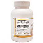 Шатаварі Капсули (Shatavari Capsules, SDM) 100 капсул по 500 мг - Аюрведа для жіночої репродуктивної системи, фото 2