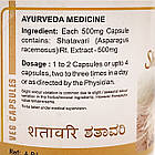 Шатаварі Капсули (Shatavari Capsules, SDM) 100 капсул по 500 мг - Аюрведа для жіночої репродуктивної системи, фото 4