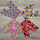 Трикотажні бриджі 60 р дитячі ТОД-370029, фото 2