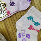 Шкарпетки дитячі літні з сіточкою, дівчинка Стиль Люкс 20-529 "бантики" р. 16-18, асорті, 20015046, фото 10