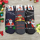 Шкарпетки чоловічі махрові новорічні Bravo Socks 41-44р асорті, фото 3
