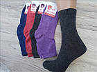 Шкарпетки жіночі демісезонні Житомир "Koi" 36-40 випадкове асорті НЖД-021342, фото 2