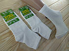 Шкарпетки дитячі демісезонні ТОНІК Житомир 34-38 білі НДД-08385, фото 2