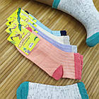Шкарпетки дитячі підліткові з сіткою для дівчинки,ЖИРОМИР, 18-20 р), асорті, 20015718, фото 8