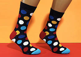 Шкарпетки з приколами демісезонні Neseli Coraplar Daily 7014 Круги кольорові Туреччина one size (37-43р)