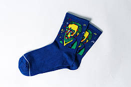 Шкарпетки з приколами демісезонні Crazy Lama 222-46 Ван Гог one size НМД-0510851