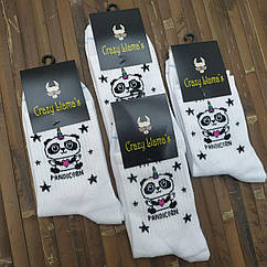 Шкарпетки з приколами демісезонні Crazy Lama 223-47 Туреччина one size (37-43р) 20009892