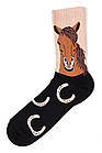 Шкарпетки з приколами демісезонні Neseli Coraplar Daily 9956 КОНІ Туреччина one size (37-43р) НМД-0510750, фото 3